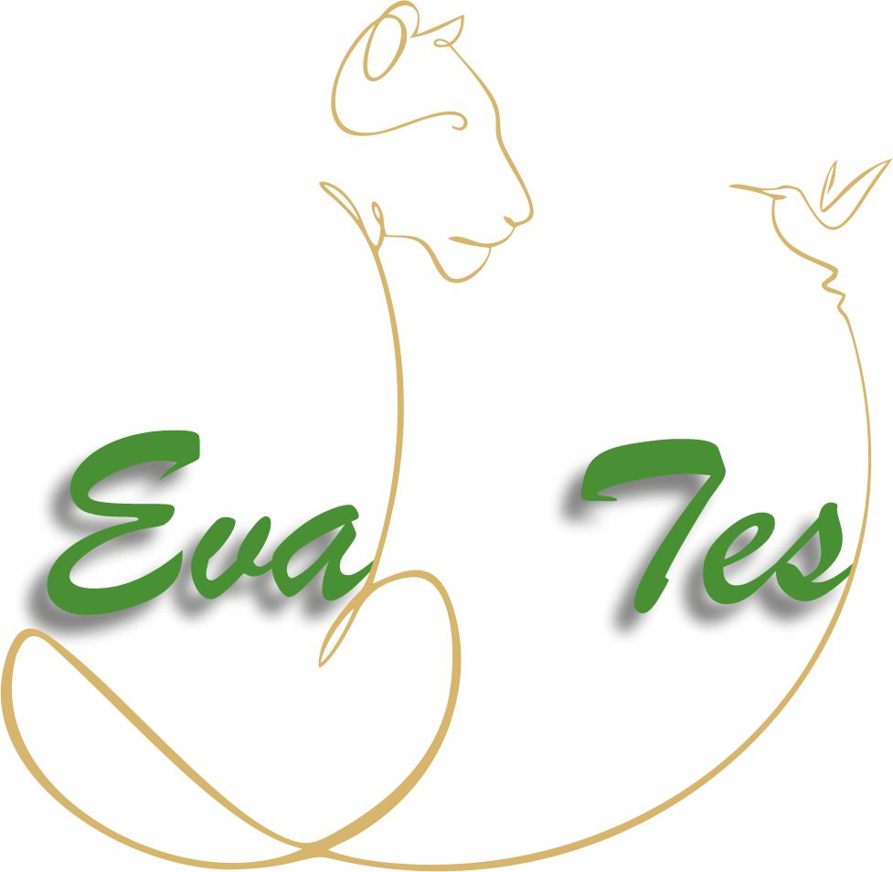 EvaTes logo